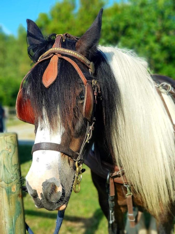Готель Les Chevaux De L'Hippocampe Mont-Dol Екстер'єр фото